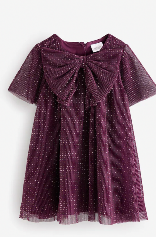 Next Plum Dress