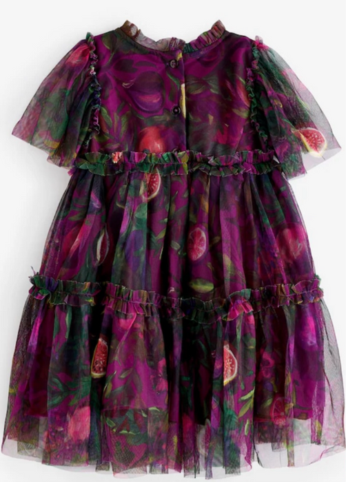 Next Plum Dress