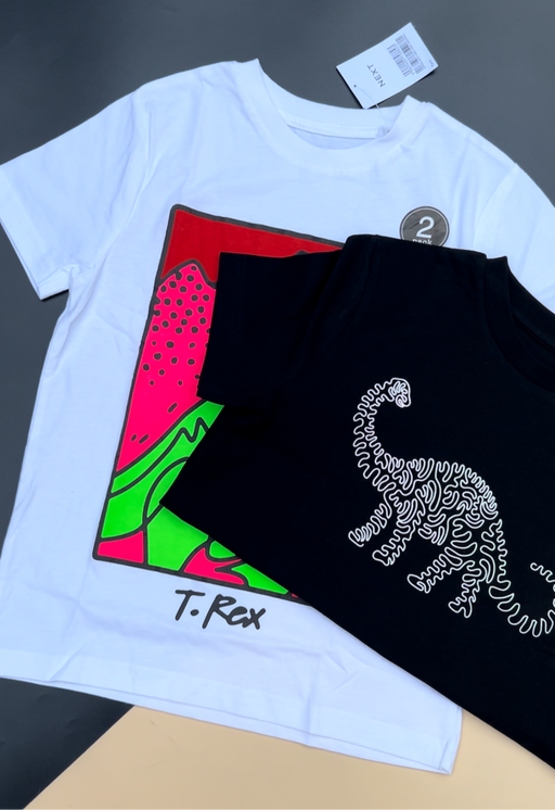 Next T.Rex Tshirt set