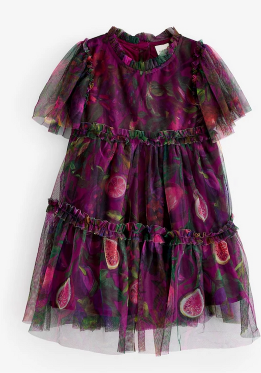 Next Plum Dress