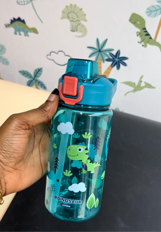 Dino 600ml bottle